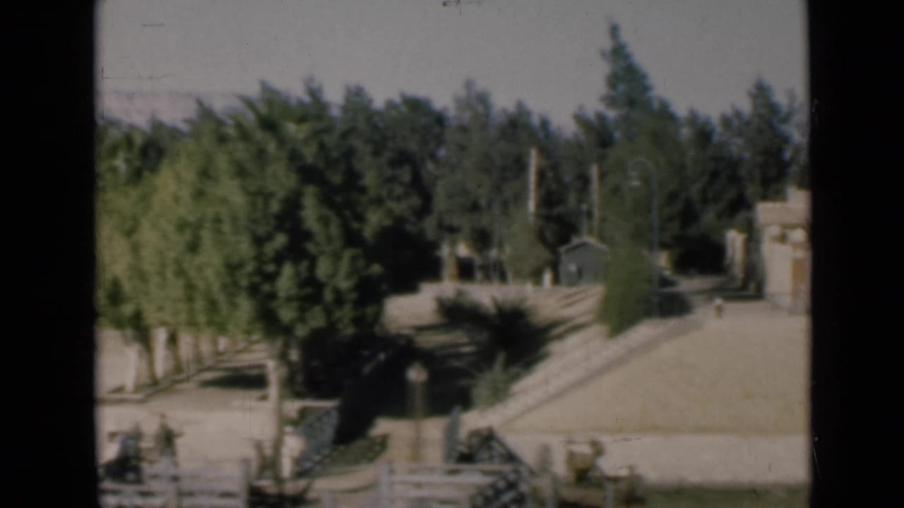 Distant pale house and walled yard seen through trees from a moving viewpoint.