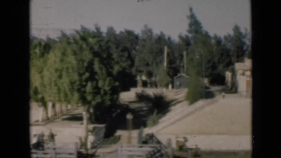 1946 Suez Canal home-movie frame showing a pale residential exterior beyond trees, a low wall, and sandy ground.
