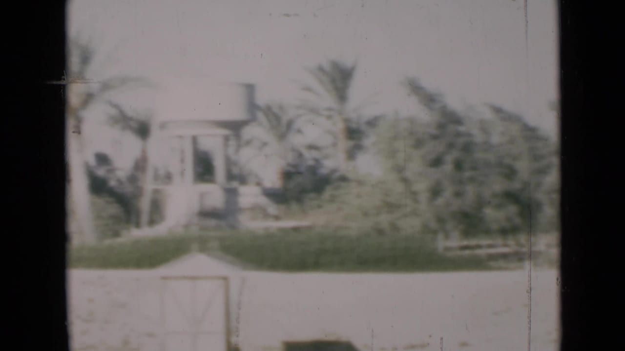 Pale building partly obscured by palms and vegetation behind a light wall.