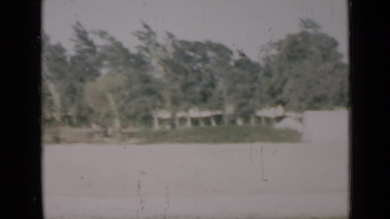 1946 Suez Canal region home-movie frame showing palm trees and a pale open foreground, softened by age and film wear.