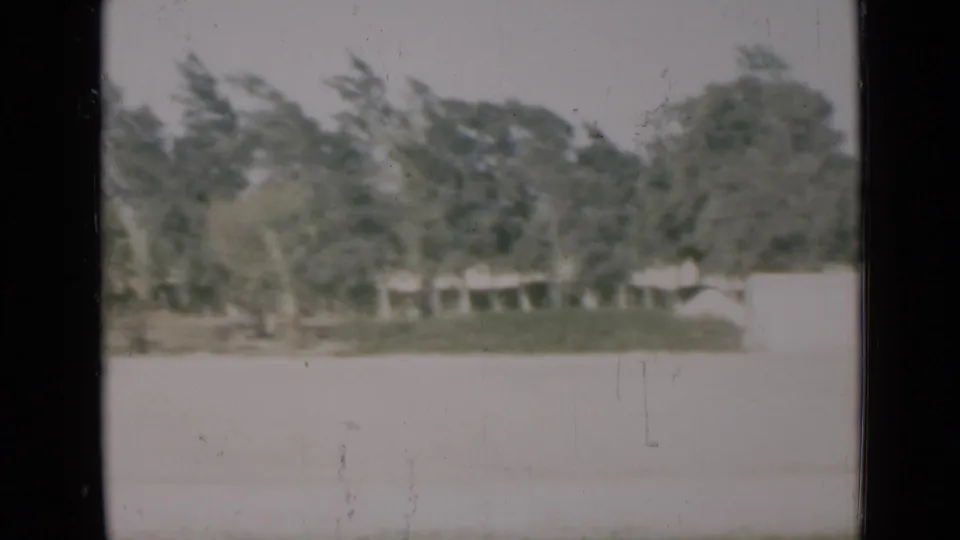 1946 Suez Canal region home-movie frame showing palm trees and a pale open foreground, softened by age and film wear.