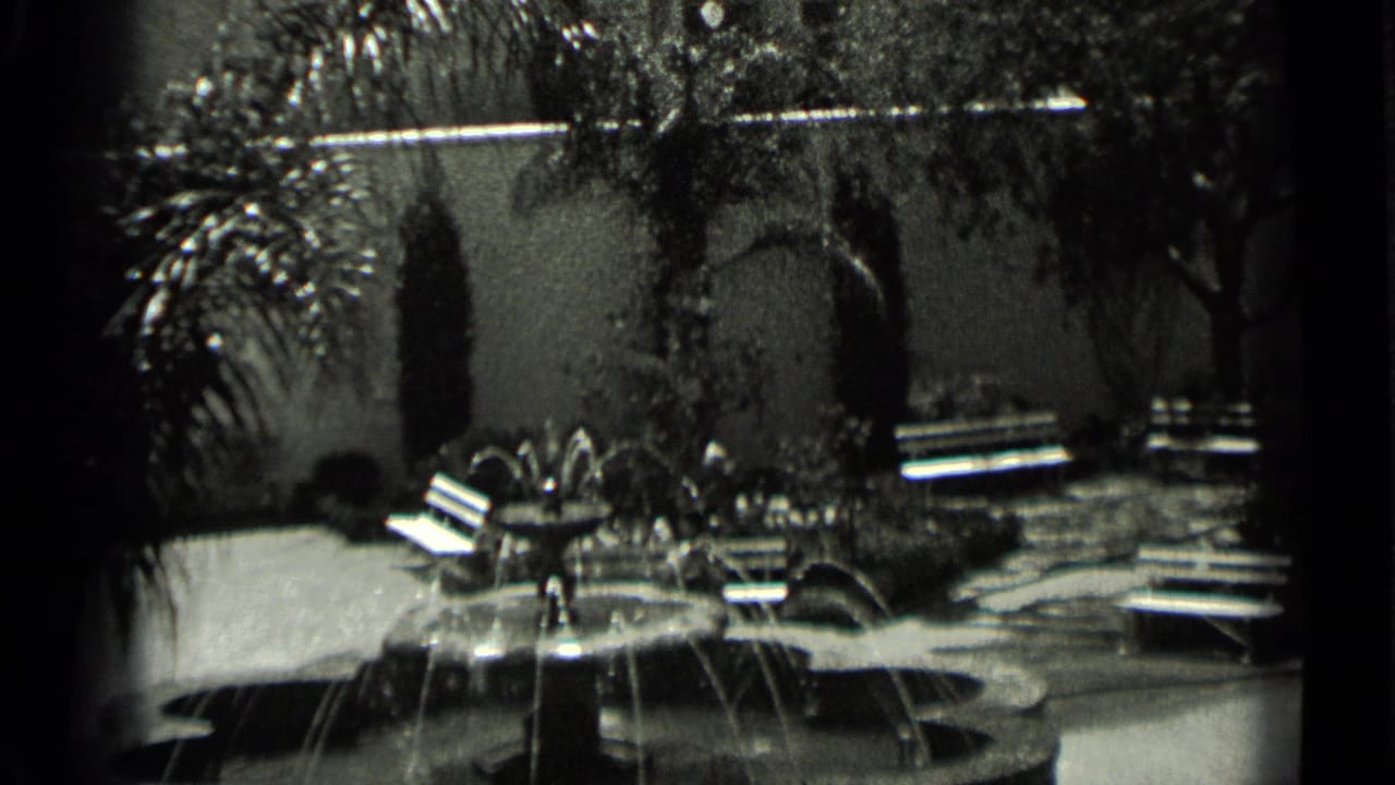 Courtyard fountain with benches, palms, shrubs, and a stucco wall in the background.
