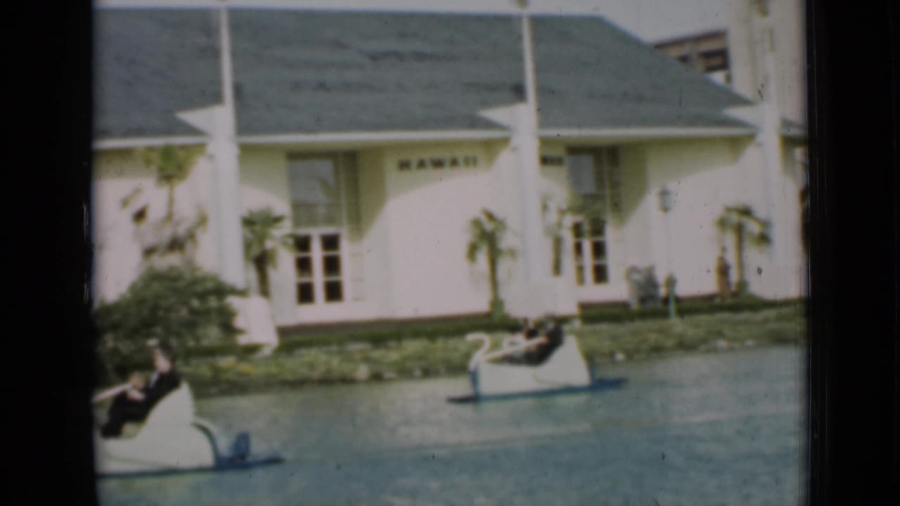 Swan-shaped paddle boats with seated riders move past a white building and palm plantings.