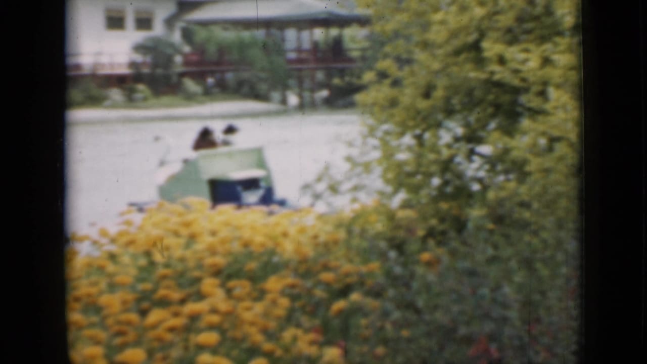 The home movie view shifts to a lower angle over yellow flowers toward a paddle boat on the pond and a building across the water.