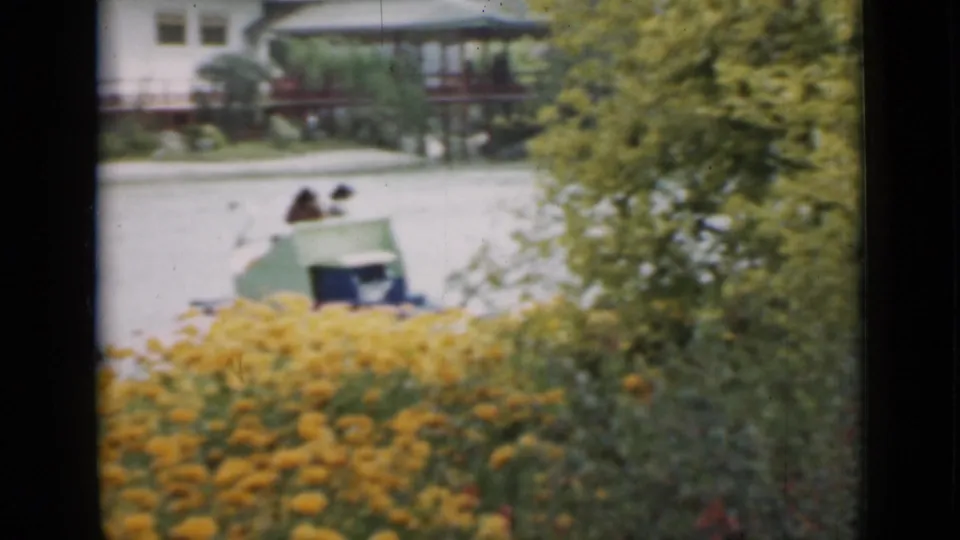The home movie view shifts to a lower angle over yellow flowers toward a paddle boat on the pond and a building across the water.