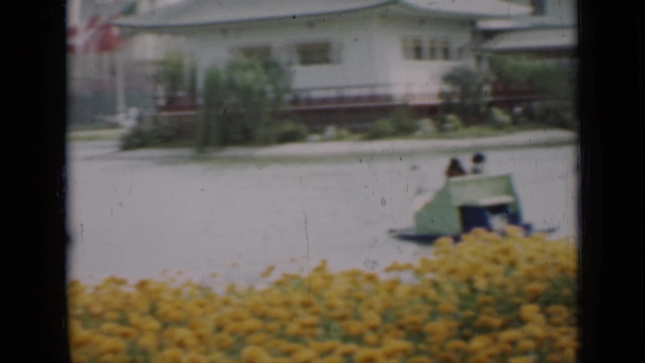 Two riders sit in a green paddle boat on a San Francisco park pond, framed by yellow flowers and soft 8mm color fade.