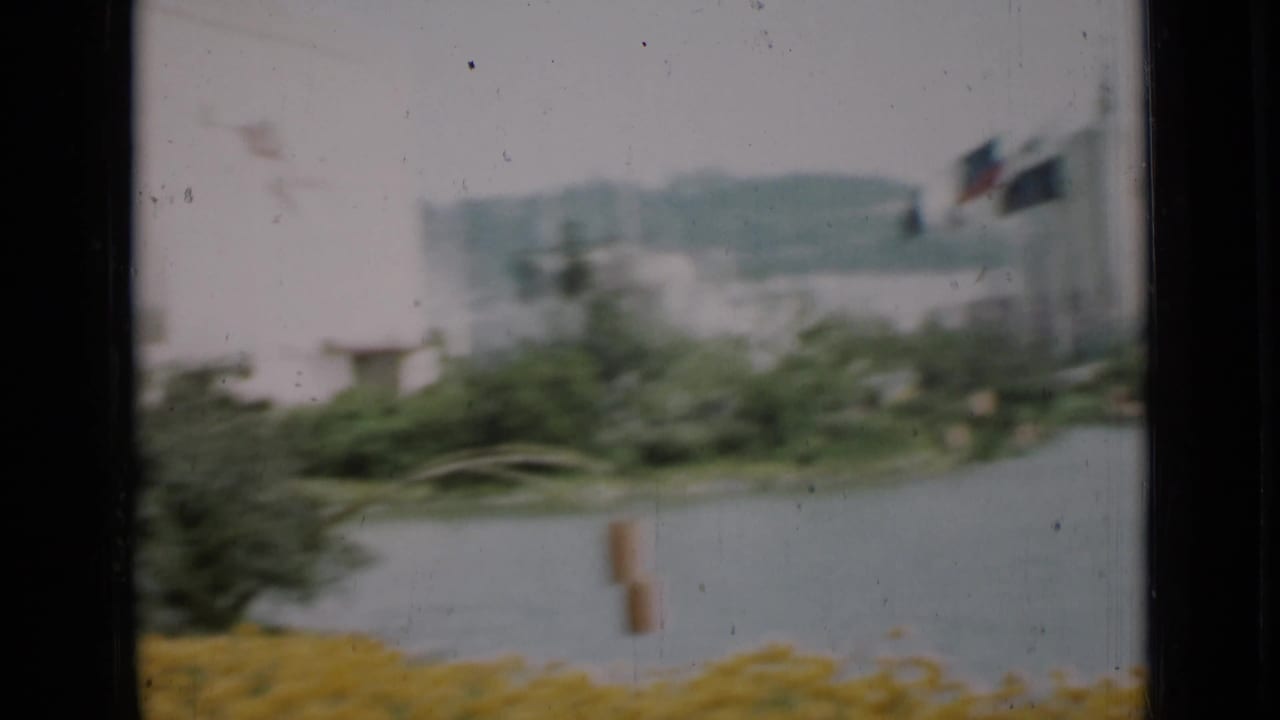 Soft 1937 San Francisco frame from a panning 8mm shot, showing shrubs, water, flags, distant hills, and yellow flowers at the bottom edge.