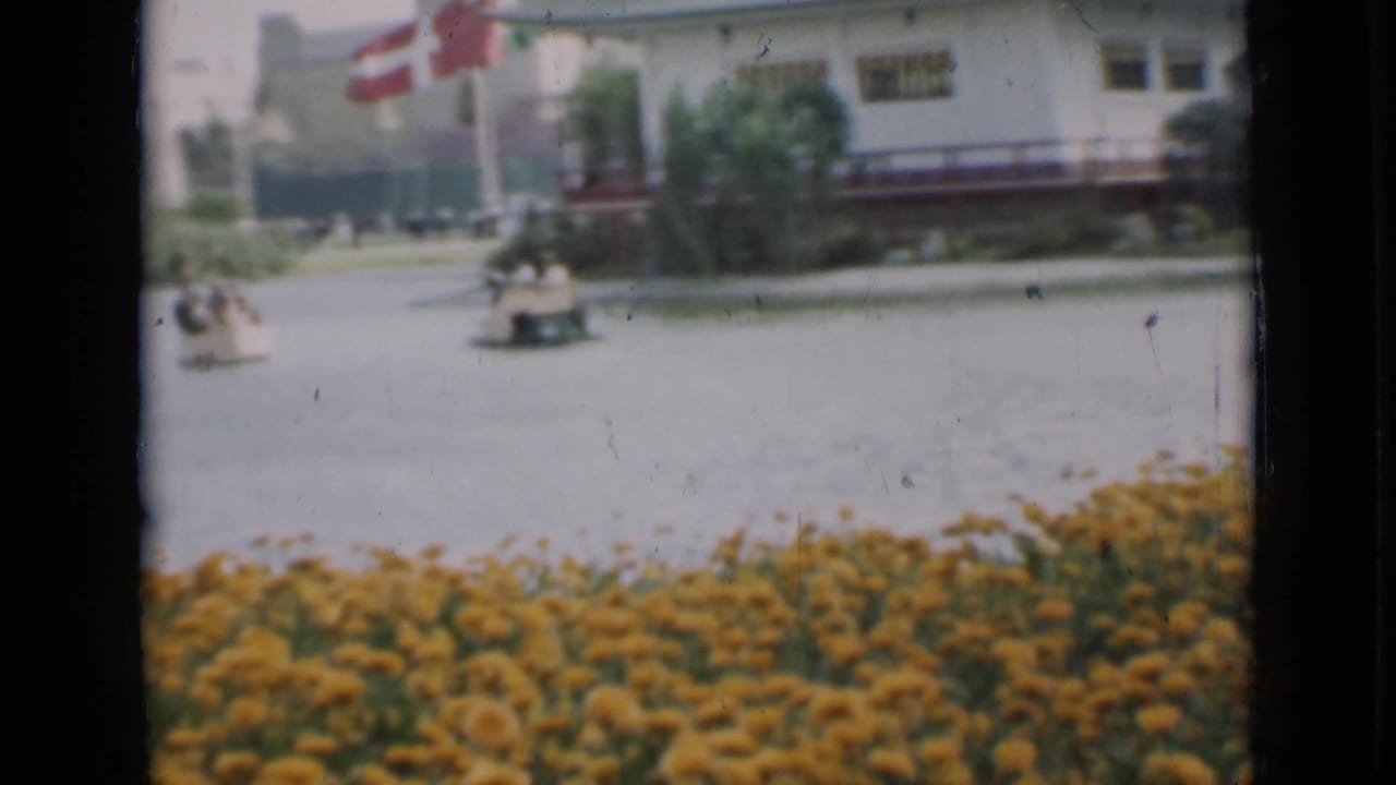 The clip turns to a landscaped pond with small boats, a flag, buildings, and yellow flowers in the foreground.