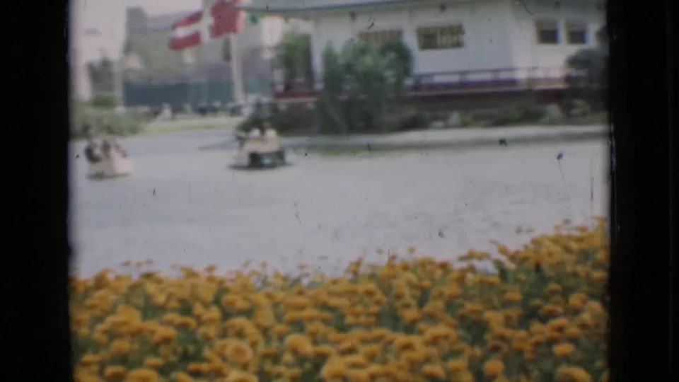 The clip turns to a landscaped pond with small boats, a flag, buildings, and yellow flowers in the foreground.