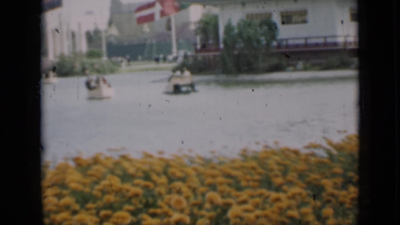 Marigolds in front of a pond with small boats and flags near a white building.