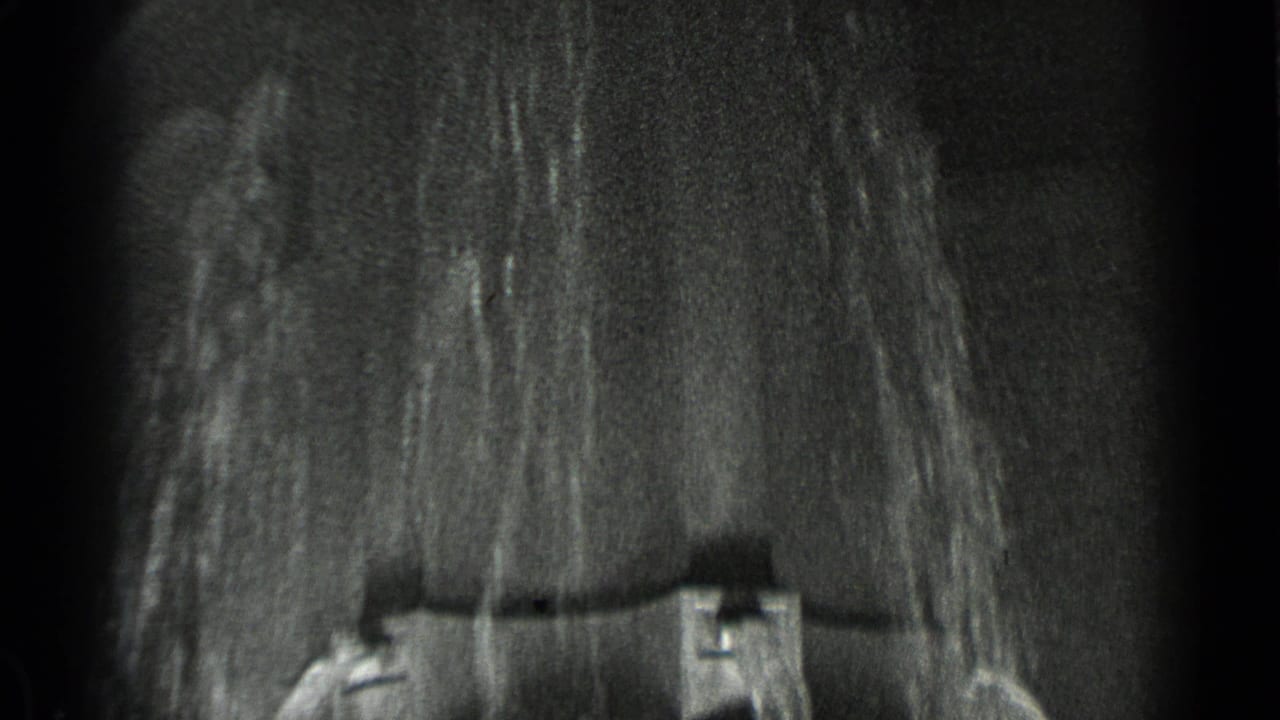 A dark 8mm frame shows water falling over a fountain or enclosure feature, likely adjacent to the animal scene.