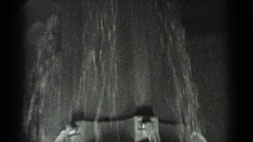 A dark 8mm frame shows water falling over a fountain or enclosure feature, likely adjacent to the animal scene.