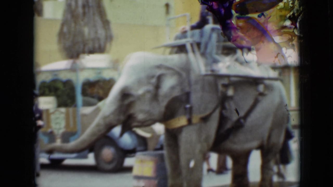 Elephant ride passing an amusement park area with a rider, staff, benches, and guests nearby.