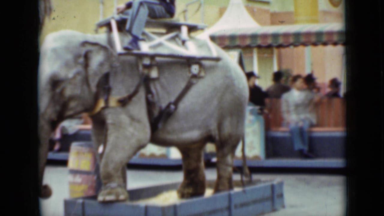 The elephant stands close to the camera while spectators and painted attraction panels appear behind it in the 1937 San Francisco footage.