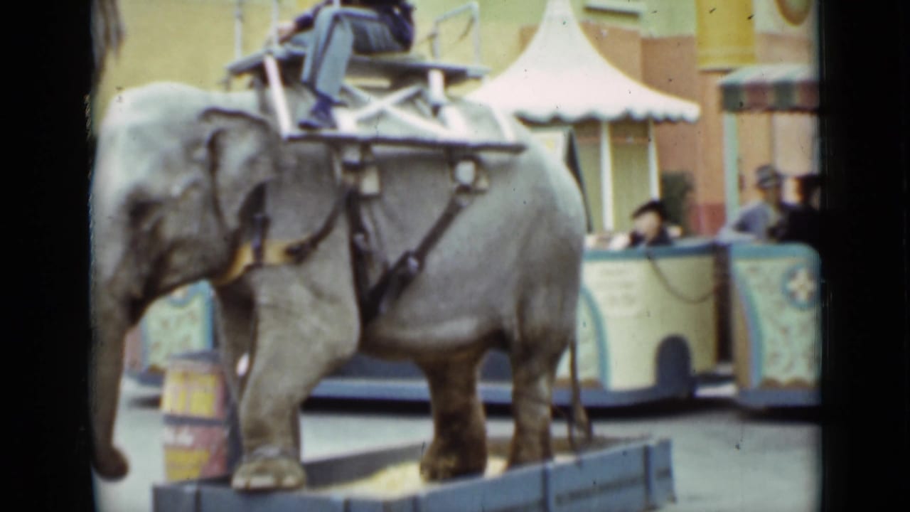 Young elephant with a rider near a fairground booth.