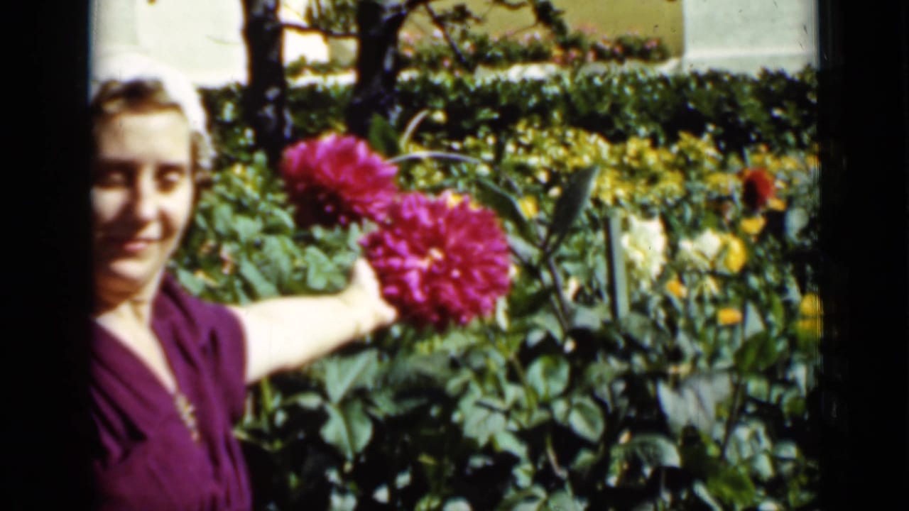 A woman in a purple dress smiles near lush garden foliage while holding or touching a large pink dahlia.