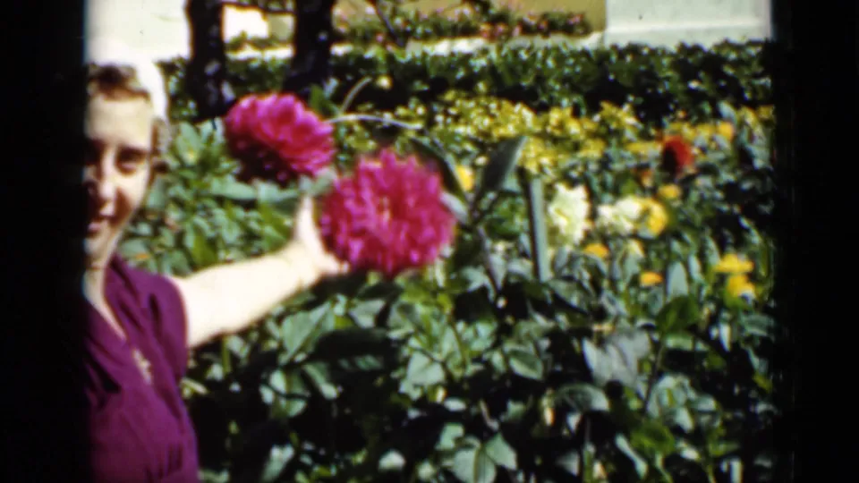 A smiling woman in a purple dress stands partly at the edge of frame beside two pink dahlias in the 1937 garden footage.