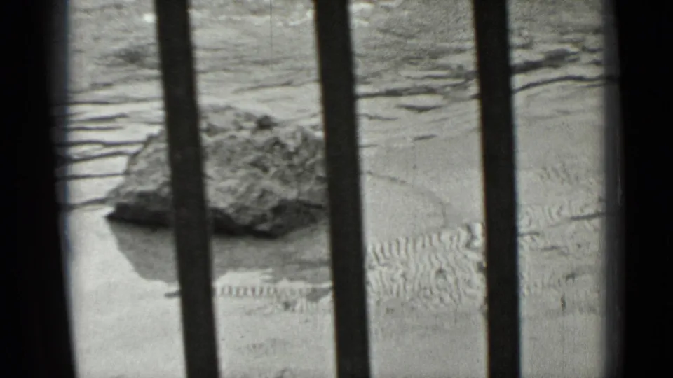 Final 1937 San Francisco frame showing enclosure bars, rocks, and textured ground with little or no animal detail visible.