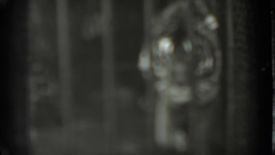 A blurred lion figure stands or moves near the right side of the barred enclosure in the final frame.