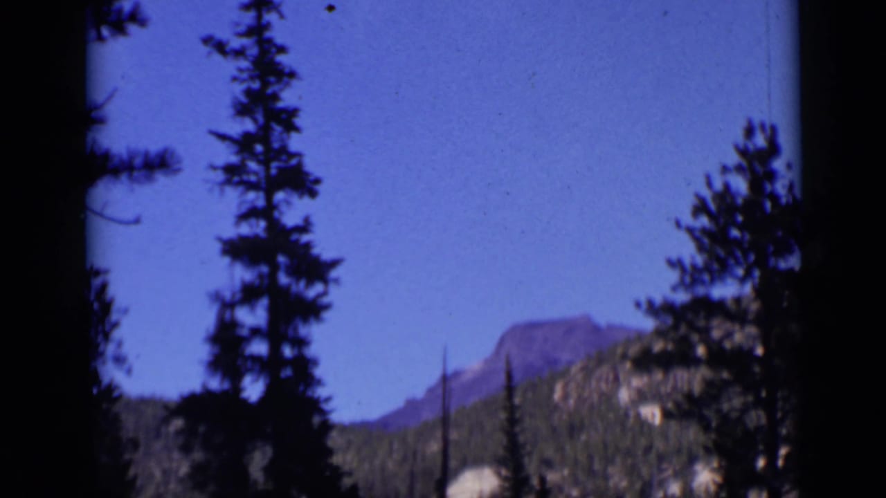 Evergreen trees frame a distant mountain under a blue sky.