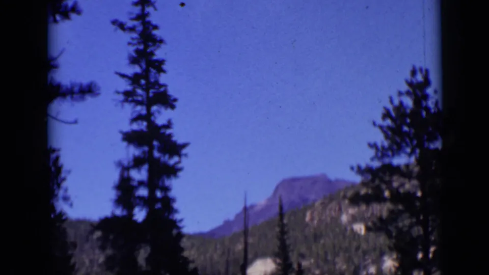 1938 Colorado home-movie frame with tall evergreen trees, blue sky, and a distant mountain ridge.