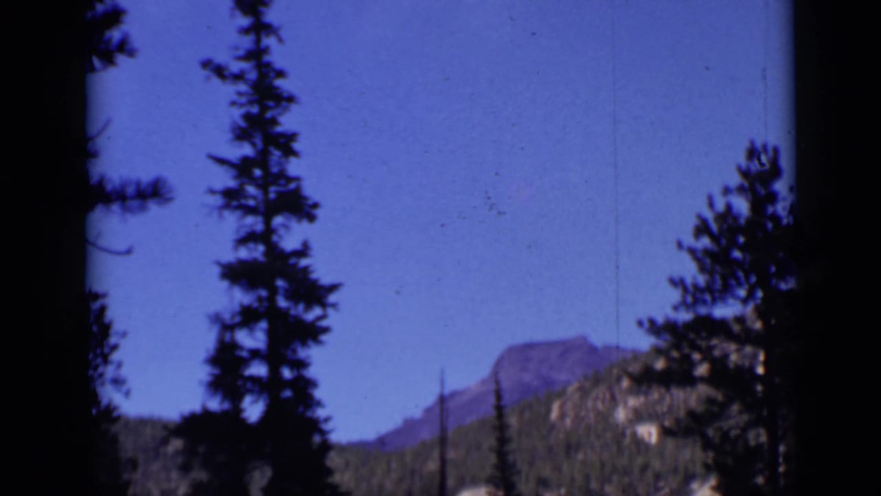 Tall evergreen tree stands before a distant mountain and blue sky.