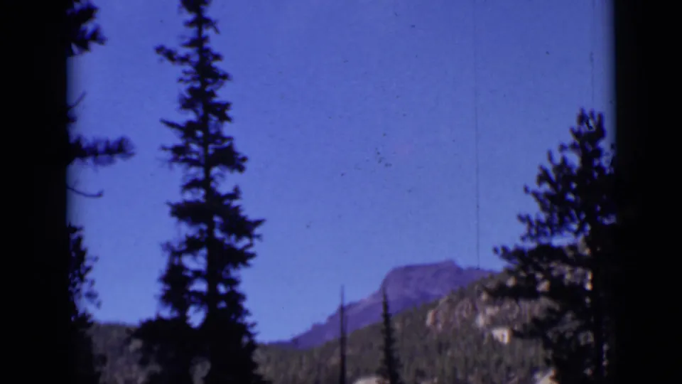 A tall evergreen tree rises in the foreground, with a Colorado mountain ridge visible beyond it.