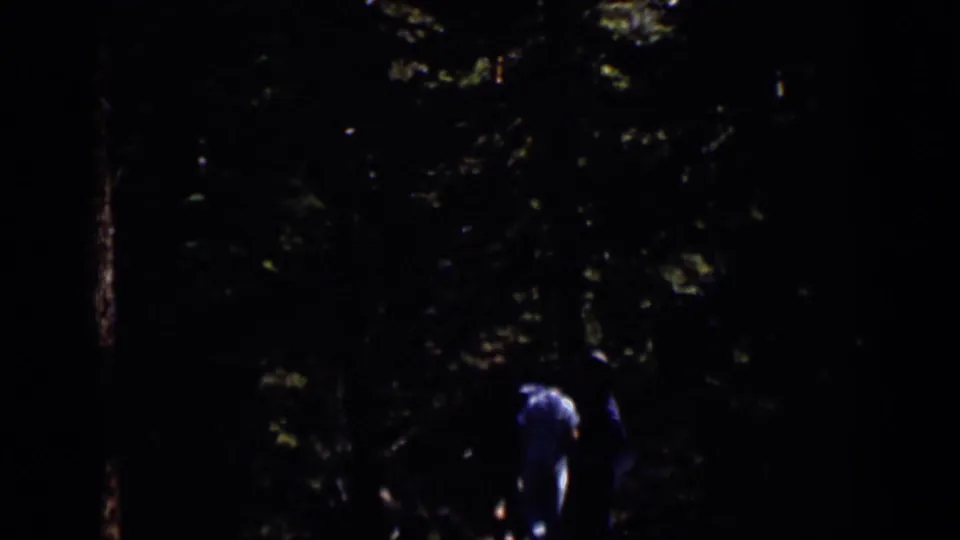 Two people walk away from the camera along a dark wooded path in 1938 Colorado footage.