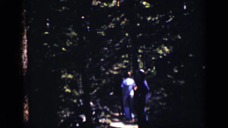 Two walkers, seen mostly from behind, follow a narrow path through dense Colorado forest shade.