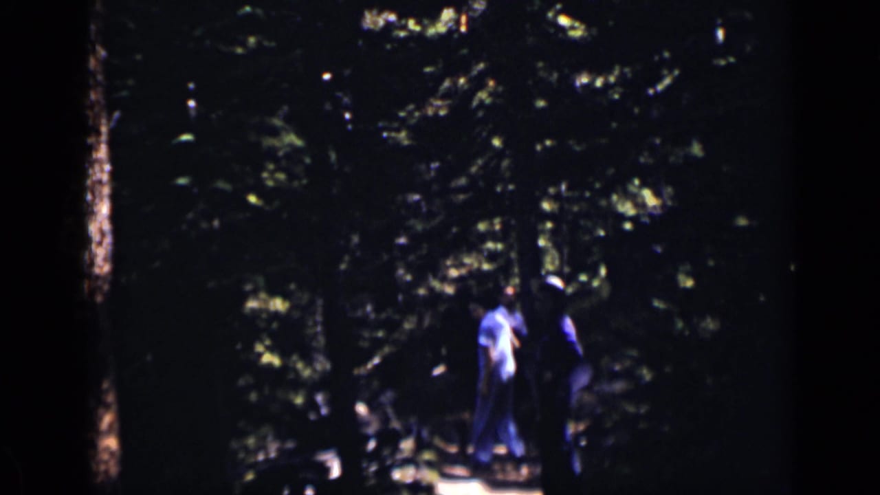 Two distant people stand or walk on a shaded forest path among tall trees.