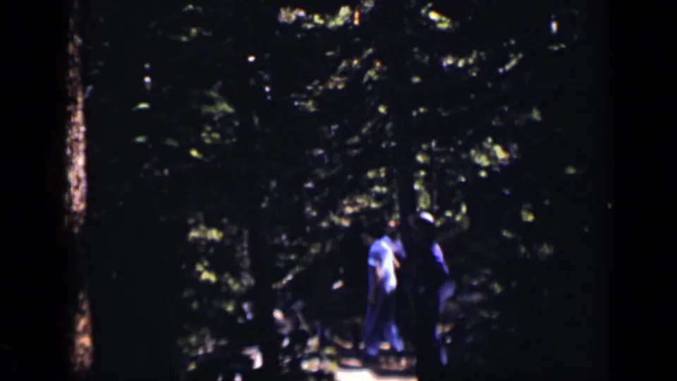 1938 Colorado 8mm frame showing two distant figures on a narrow, sunlit forest path beneath dense trees.