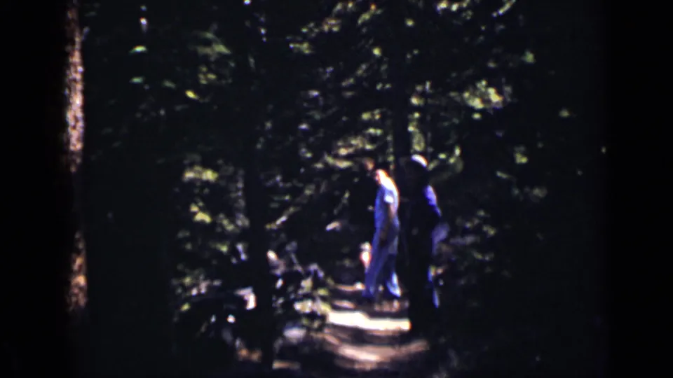 1938 Colorado home-movie frame with two distant people walking through a dark evergreen forest toward a patch of light.
