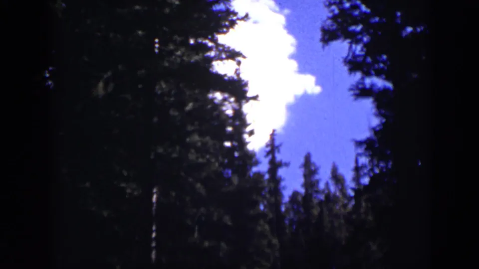 1938 Colorado 8mm frame looking upward through forest trees at blue sky and a bright white cloud.
