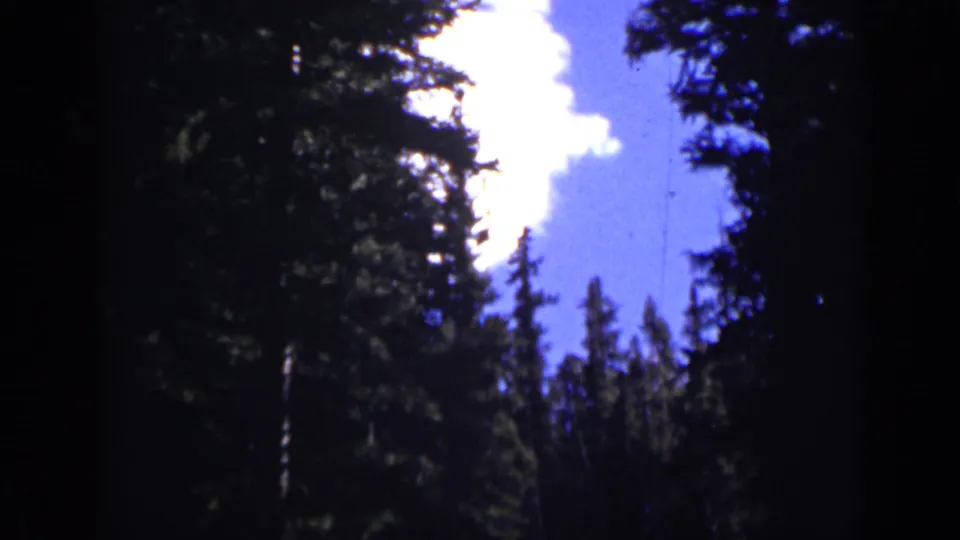 1938 Colorado home-movie frame of treetops silhouetted around blue sky and a sunlit white cloud.