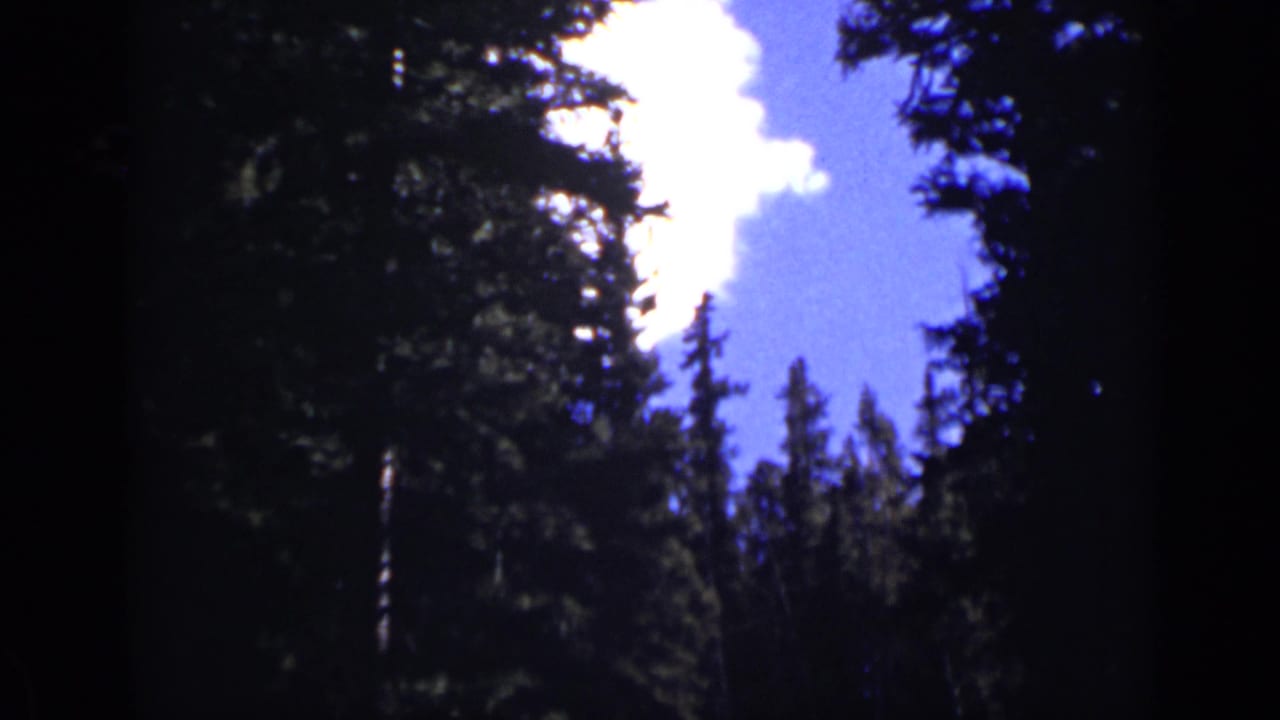 Evergreen forest silhouetted against bright blue sky and white clouds.