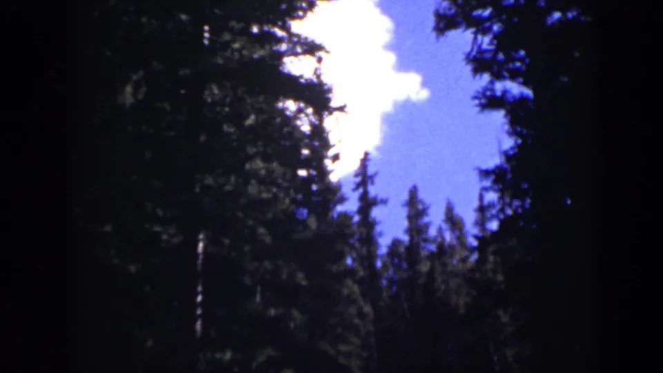 1938 Colorado home-movie frame showing tall evergreens and dark forest edges beneath a bright blue sky with white clouds.