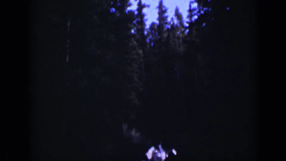 Late-1930s Colorado 8mm frame panning down through dark trees toward a small bright lake or reflective water area.