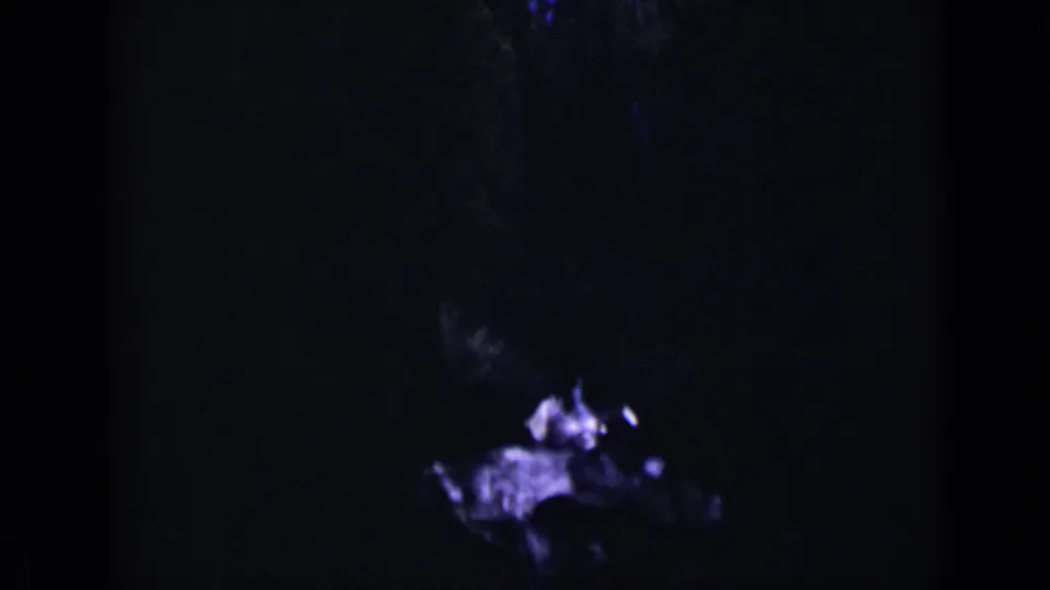 The pan settles lower on a heavily shadowed forest view with a small shimmering lake or water surface visible through the trees.