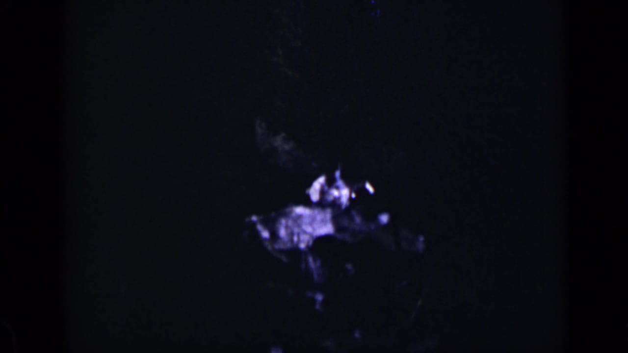 Dark 8mm frame with a woman partly visible in deep forest shade.