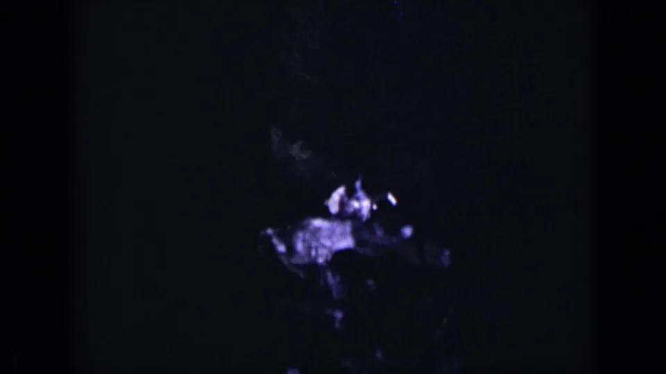 In 1938 Colorado home-movie footage, a woman in a blue coat is barely visible in shadow among trees along a forest path.