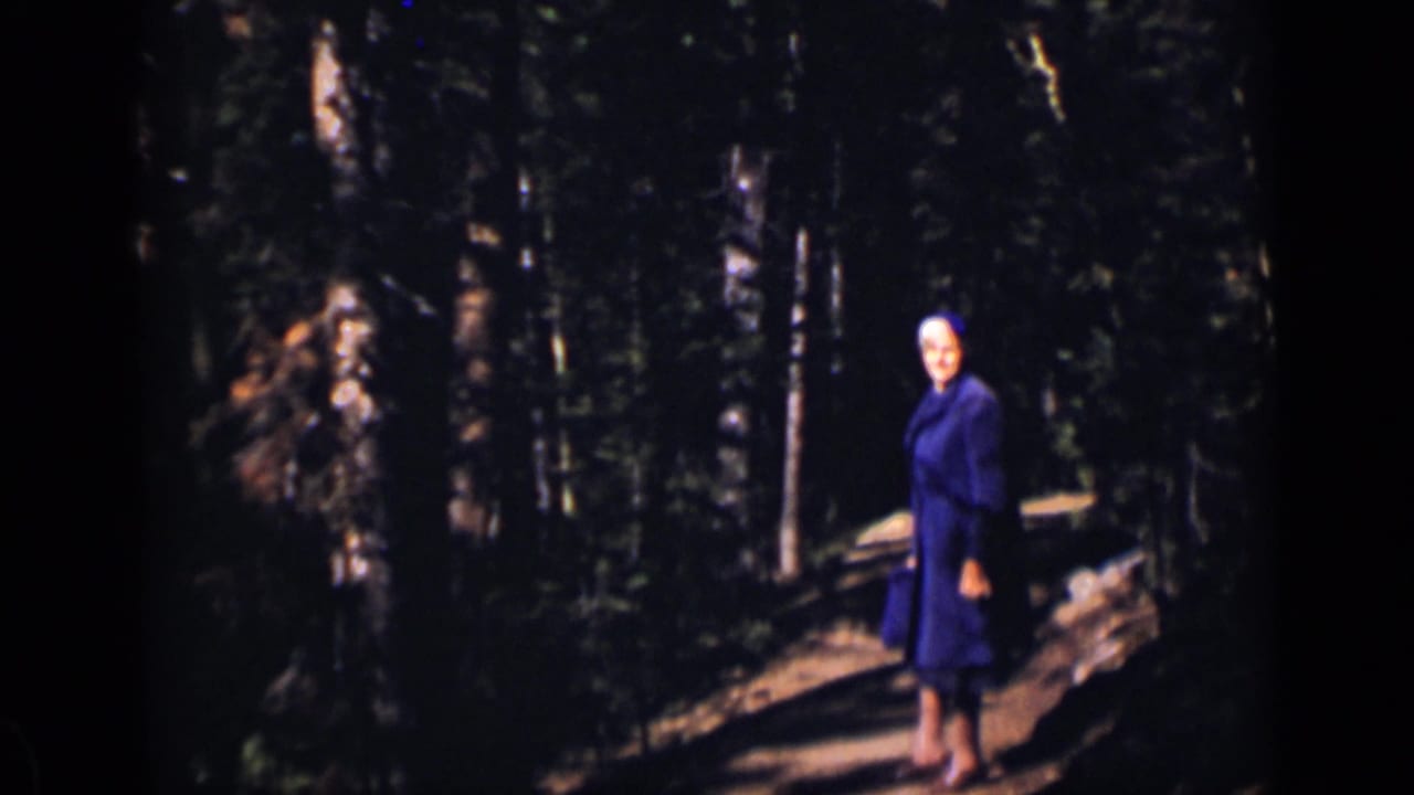 Woman in a purple coat and hat standing on a shadowed forest path.