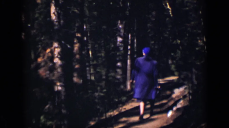 The woman in purple walks away from the camera on a wooded Colorado path, framed by dark trees and sunlight patches.