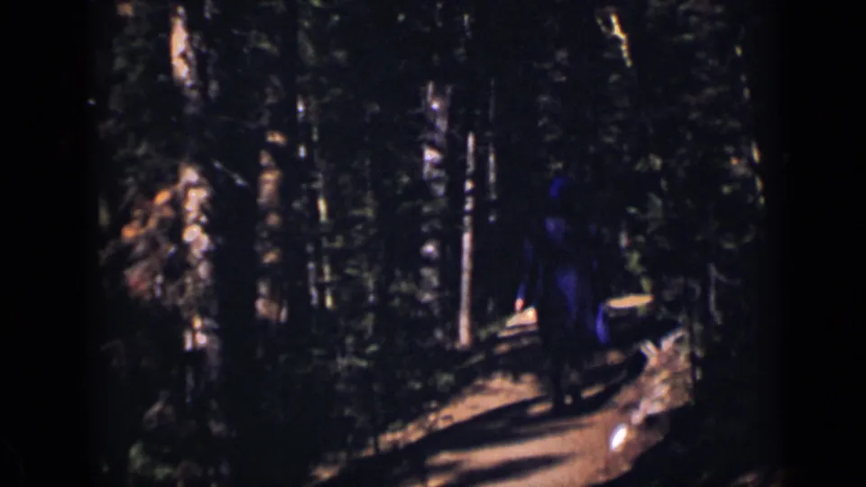 The woman becomes harder to see in the dark wooded frame as she continues down the narrow Colorado path.