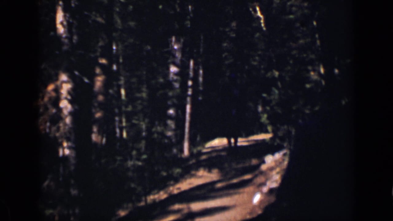 Shaded forest trail with sunlight falling across the path.