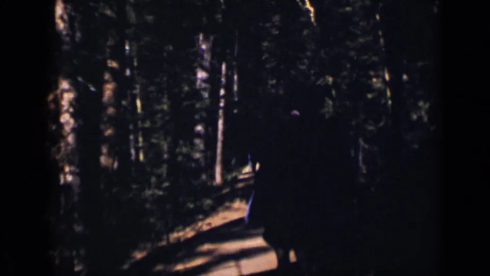 1938 Colorado home-movie frame showing a person from behind near the edge of a shadowed forest trail.