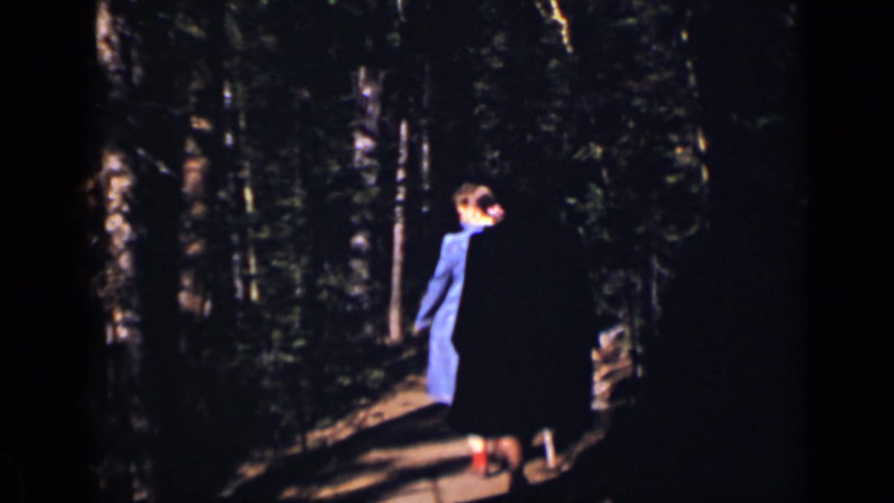 Woman in a blue dress walks away on a shaded forest path.