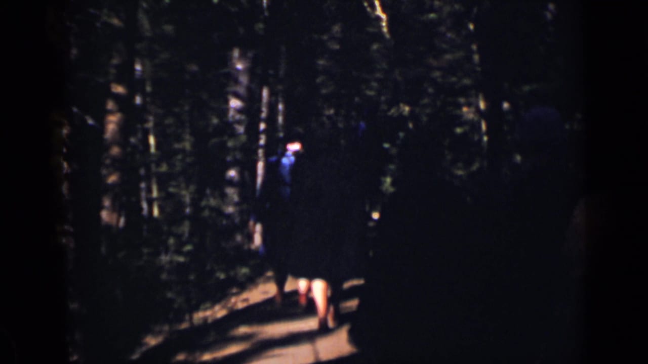 Woman partly obscured by trees walks along the forest path.