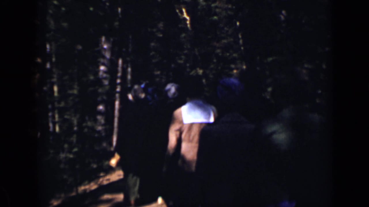 Group of people walking away on a dark forest trail.