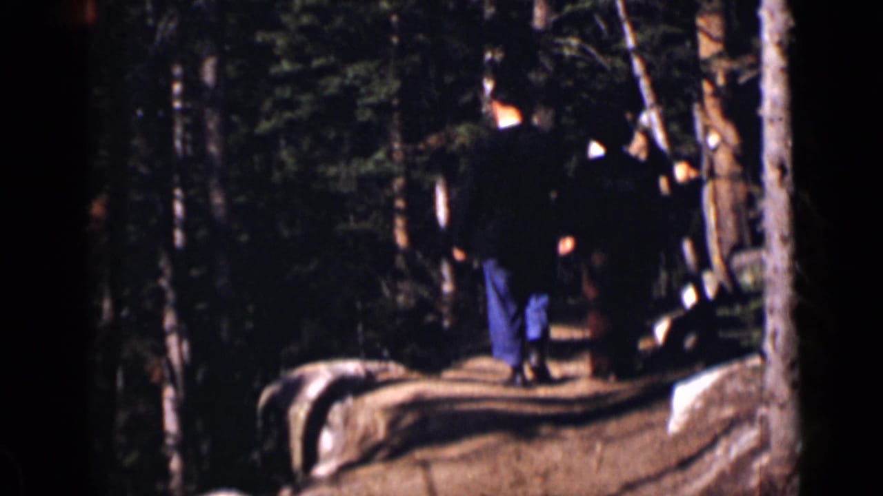 People standing or walking on a dirt path among trees.