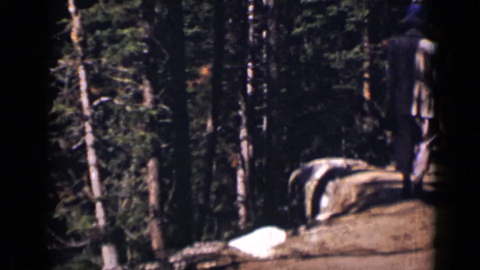 Near the end of the clip, the two walkers are partly at the frame edge as the Colorado forest path continues ahead.